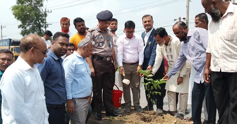 কুমিল্লায় বৃক্ষরোপণ কর্মসূচির উদ্বোধন